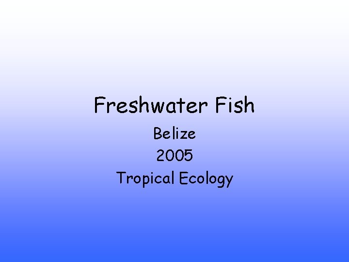 Freshwater Fish Belize 2005 Tropical Ecology 