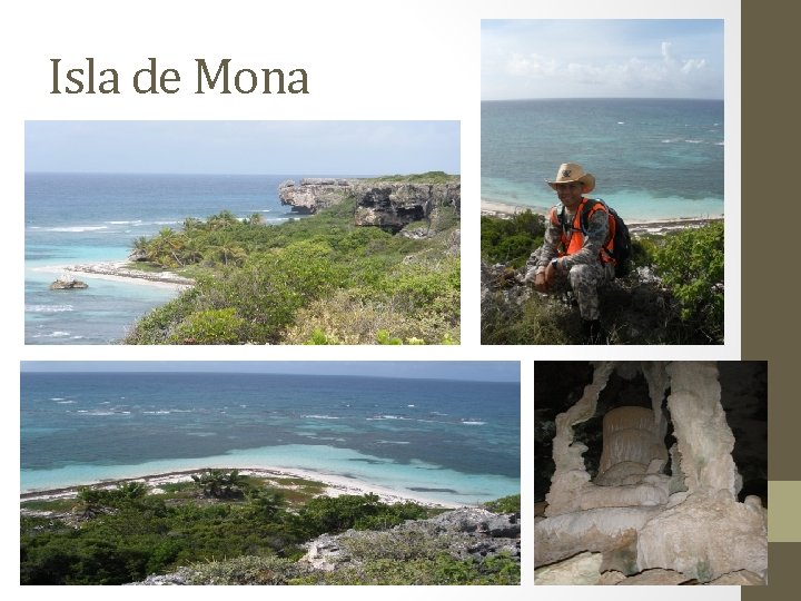 Isla de Mona 
