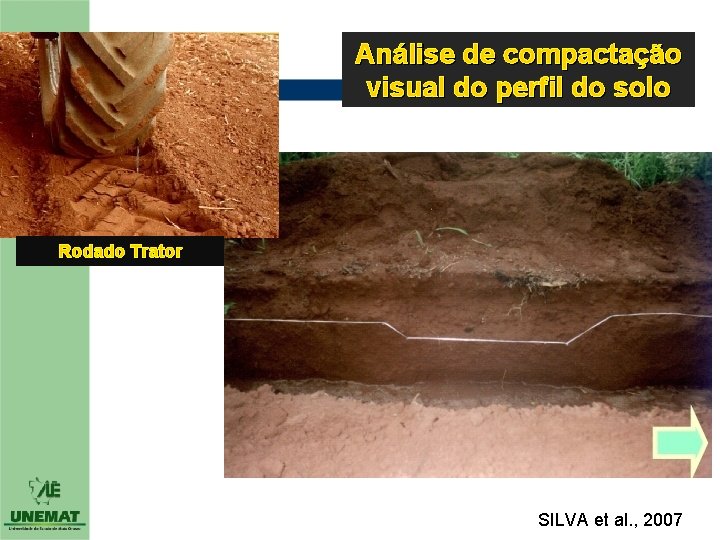 Análise de compactação visual do perfil do solo Rodado Trator SILVA et al. ,