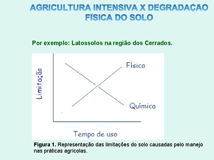 Por exemplo: Latossolos na região dos Cerrados. Figura 1. Representação das limitações do solo