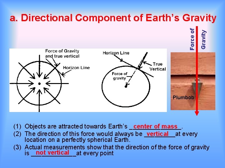 Gravity Force of a. Directional Component of Earth’s Gravity Plumbob (1) Objects are attracted