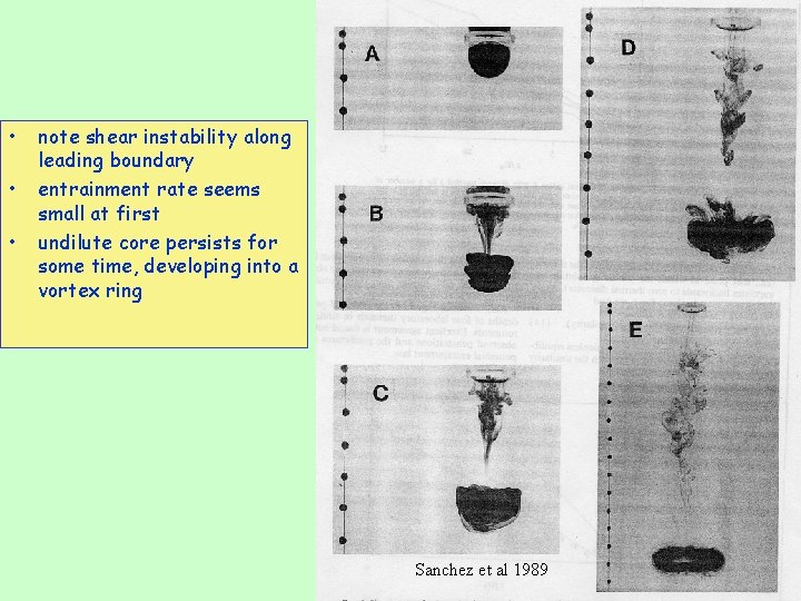  • • • note shear instability along leading boundary entrainment rate seems small