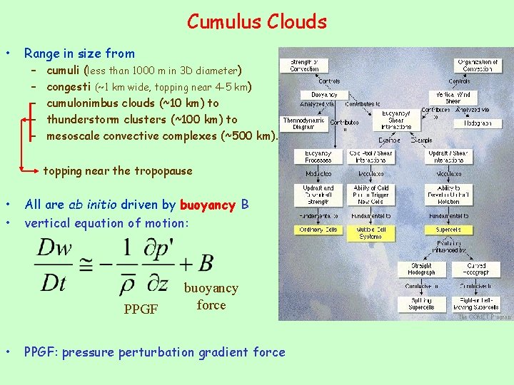 Cumulus Clouds • Range in size from – – – cumuli (less than 1000