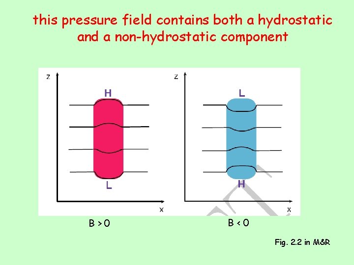 this pressure field contains both a hydrostatic and a non-hydrostatic component B>0 B<0 Fig.