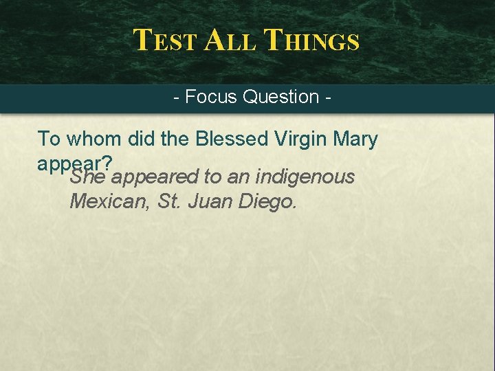 TEST ALL THINGS - Focus Question - To whom did the Blessed Virgin Mary