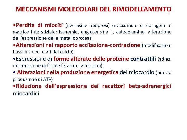 MECCANISMI MOLECOLARI DEL RIMODELLAMENTO • Perdita di miociti (necrosi e apoptosi) e accumulo di