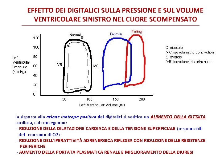 EFFETTO DEI DIGITALICI SULLA PRESSIONE E SUL VOLUME VENTRICOLARE SINISTRO NEL CUORE SCOMPENSATO In