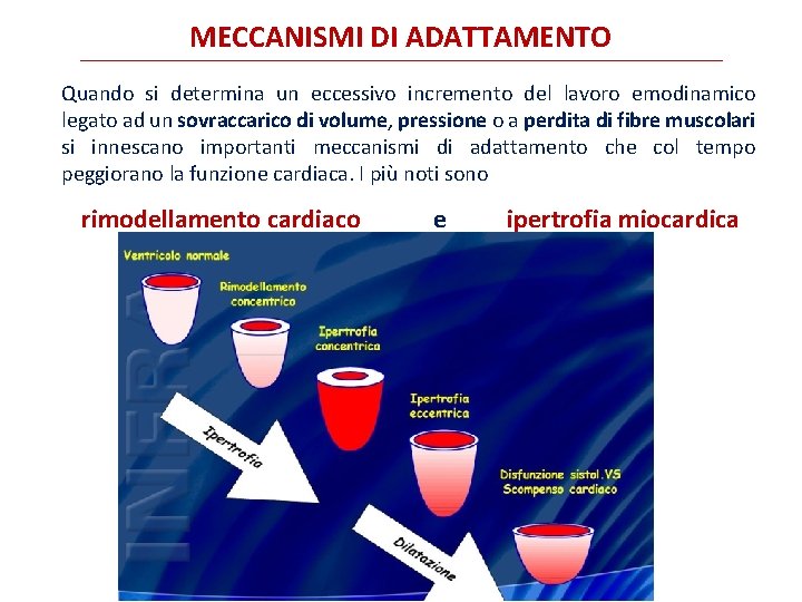 MECCANISMI DI ADATTAMENTO Quando si determina un eccessivo incremento del lavoro emodinamico legato ad MECCANISMI DI ADATTAMENTO Quando si determina un eccessivo incremento del lavoro emodinamico legato ad