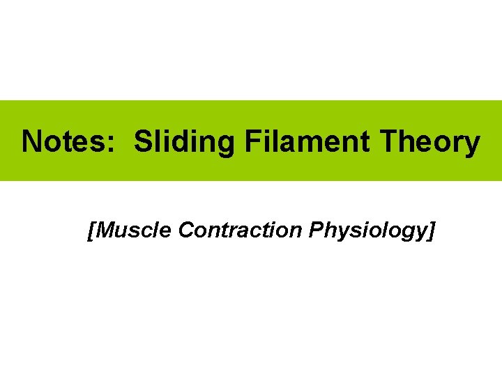 Notes: Sliding Filament Theory [Muscle Contraction Physiology] 