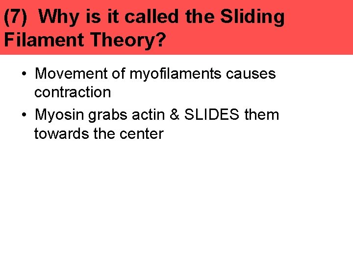 (7) Why is it called the Sliding Filament Theory? • Movement of myofilaments causes