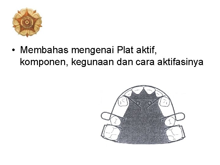  • Membahas mengenai Plat aktif, komponen, kegunaan dan cara aktifasinya 