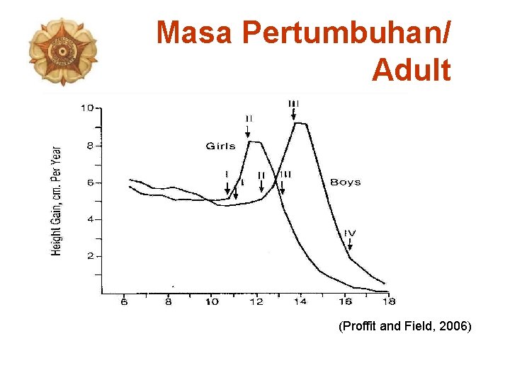 Masa Pertumbuhan/ Adult (Proffit and Field, 2006) 