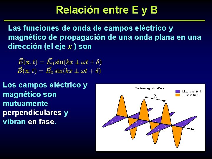 Relación entre E y B Las funciones de onda de campos eléctrico y magnético