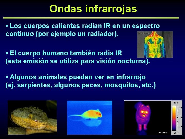 Ondas infrarrojas • Los cuerpos calientes radian IR en un espectro continuo (por ejemplo