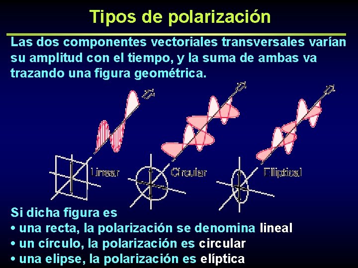 Tipos de polarización Las dos componentes vectoriales transversales varían su amplitud con el tiempo,