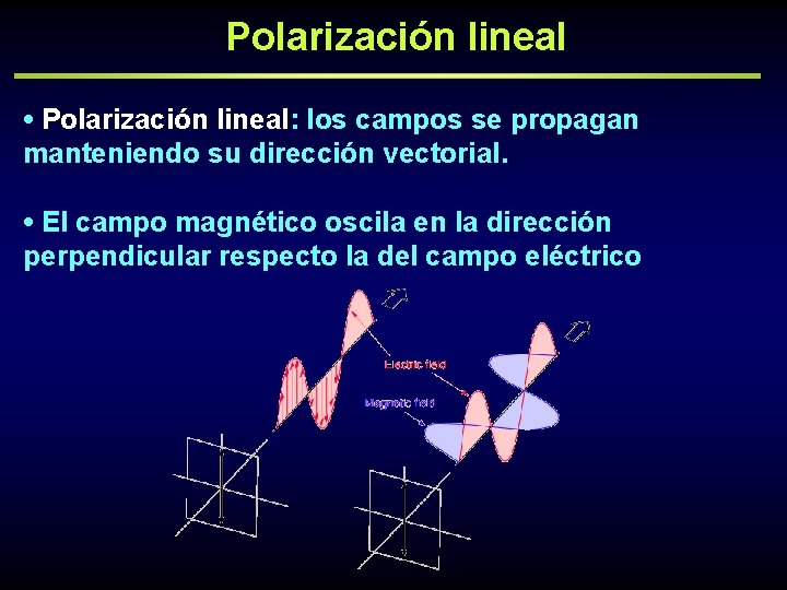 Polarización lineal • Polarización lineal: los campos se propagan manteniendo su dirección vectorial. •
