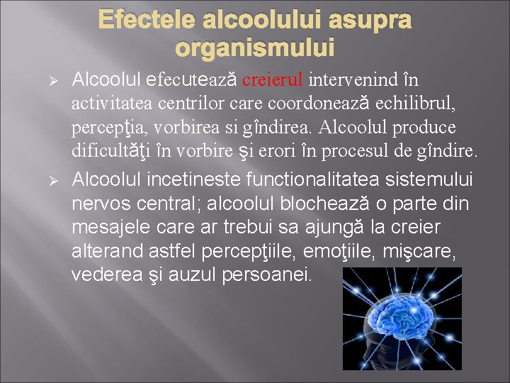 Efectele alcoolului asupra organismului Ø Ø Alcoolul efecutează creierul intervenind în activitatea centrilor care