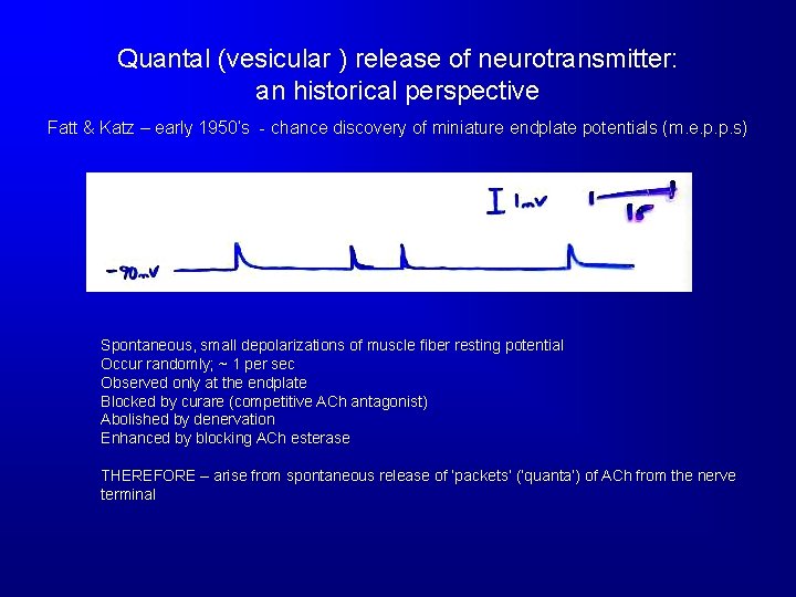 Quantal (vesicular ) release of neurotransmitter: an historical perspective Fatt & Katz – early