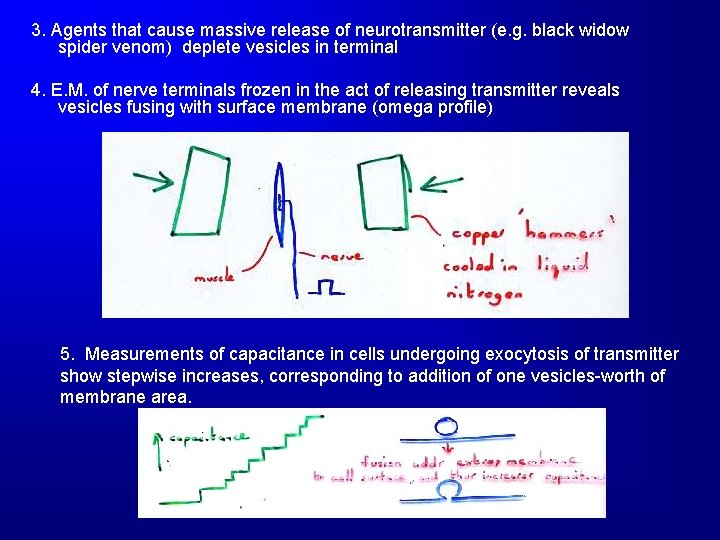 3. Agents that cause massive release of neurotransmitter (e. g. black widow spider venom)