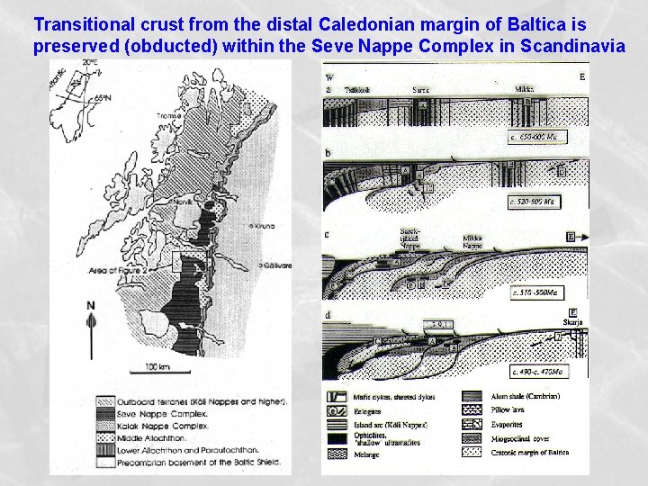 Transitional crust from the distal Caledonian margin of Baltica is preserved (obducted) within the