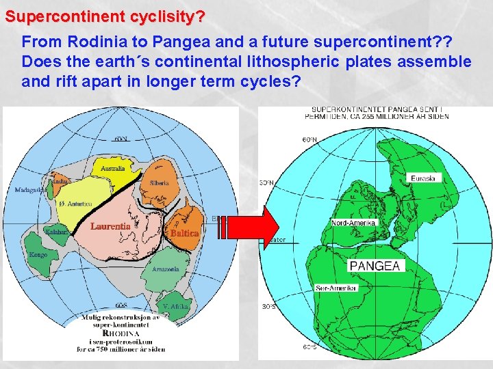 Supercontinent cyclisity? From Rodinia to Pangea and a future supercontinent? ? Does the earth´s