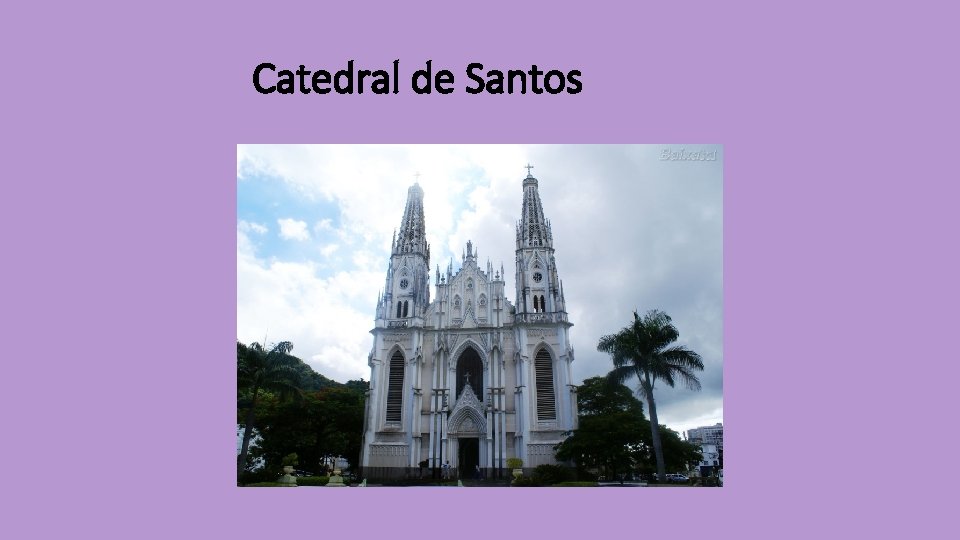 Catedral de Santos 