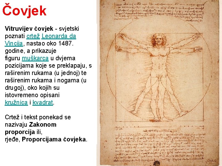 Čovjek Vitruvijev čovjek - svjetski poznati crtež Leonarda da Vincija, nastao oko 1487. godine,