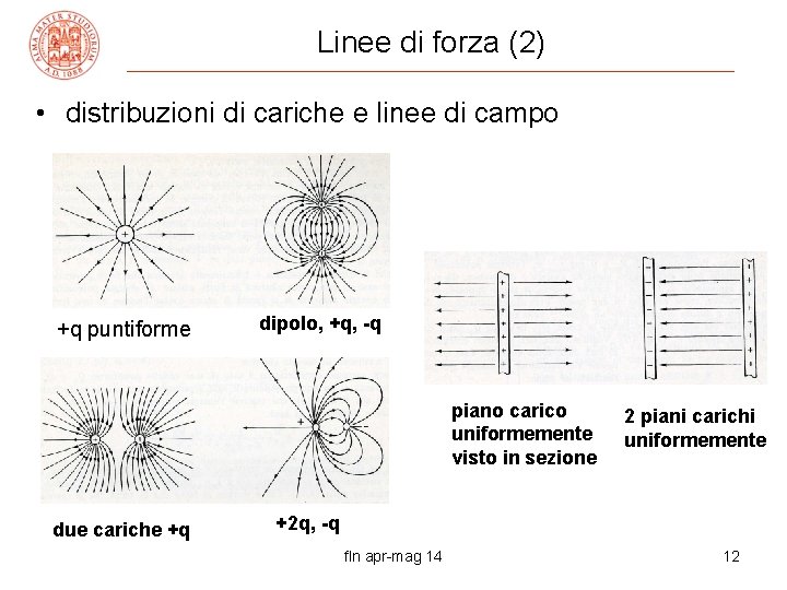 Linee di forza (2) • distribuzioni di cariche e linee di campo +q puntiforme