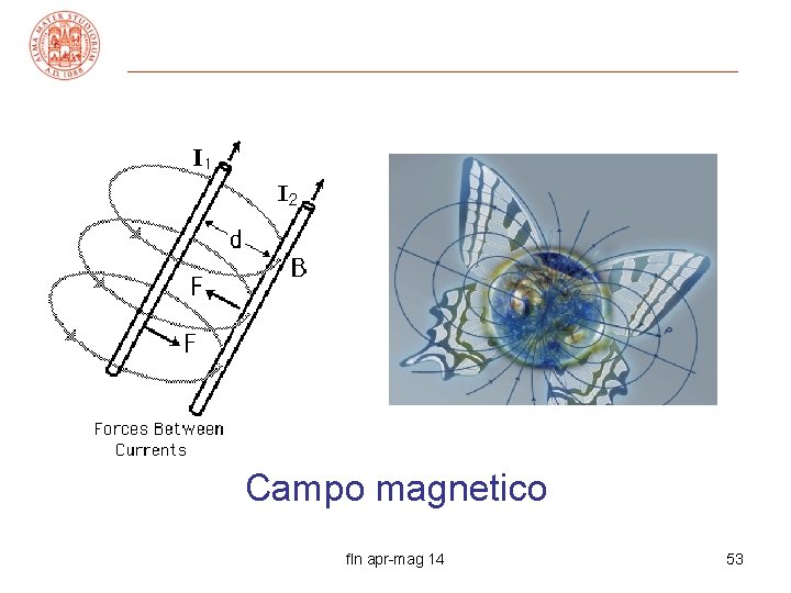 Campo magnetico fln apr-mag 14 53 