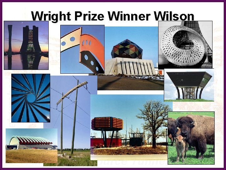 Wright Prize Winner Wilson 