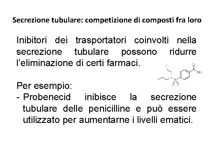 Secrezione tubulare: competizione di composti fra loro Inibitori dei trasportatori coinvolti nella secrezione tubulare Secrezione tubulare: competizione di composti fra loro Inibitori dei trasportatori coinvolti nella secrezione tubulare