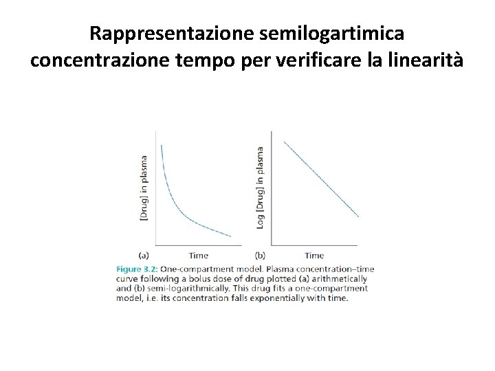 Rappresentazione semilogartimica concentrazione tempo per verificare la linearità Rappresentazione semilogartimica concentrazione tempo per verificare la linearità