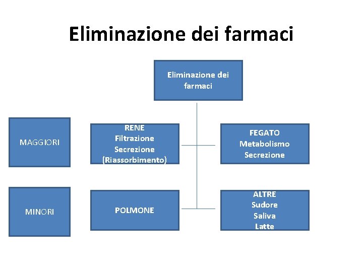 Eliminazione dei farmaci MAGGIORI MINORI RENE Filtrazione Secrezione (Riassorbimento) FEGATO Metabolismo Secrezione POLMONE ALTRE Eliminazione dei farmaci MAGGIORI MINORI RENE Filtrazione Secrezione (Riassorbimento) FEGATO Metabolismo Secrezione POLMONE ALTRE