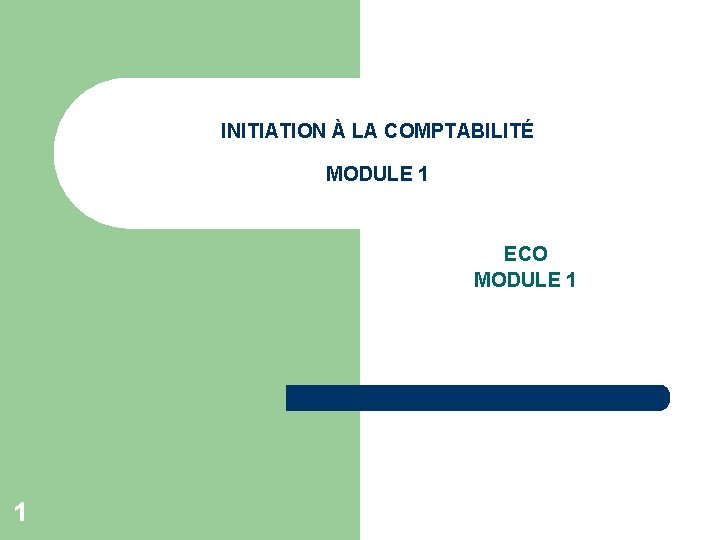 INITIATION À LA COMPTABILITÉ MODULE 1 ECO MODULE 1 1 