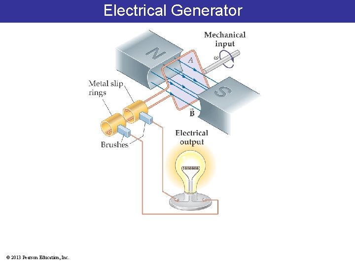 Electrical Generator © 2013 Pearson Education, Inc. 