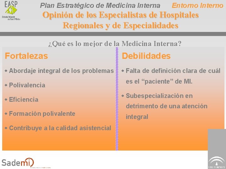 Plan Estratégico de Medicina Interna Entorno Interno Opinión de los Especialistas de Hospitales Regionales