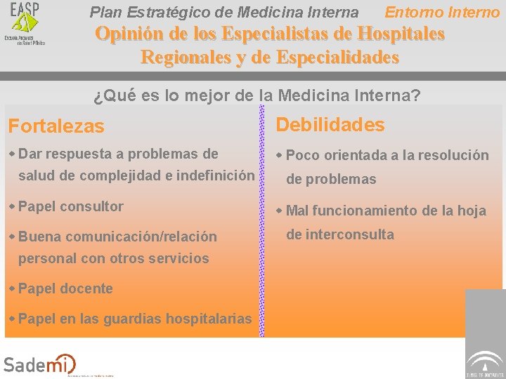 Plan Estratégico de Medicina Interna Entorno Interno Opinión de los Especialistas de Hospitales Regionales