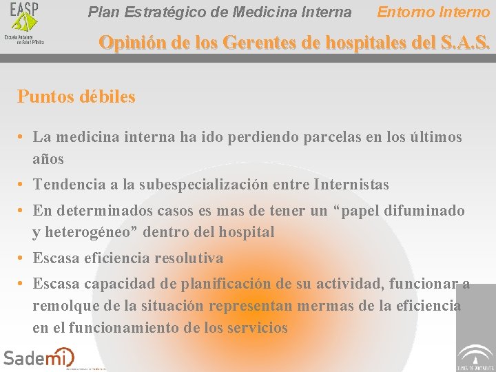 Plan Estratégico de Medicina Interna Entorno Interno Opinión de los Gerentes de hospitales del