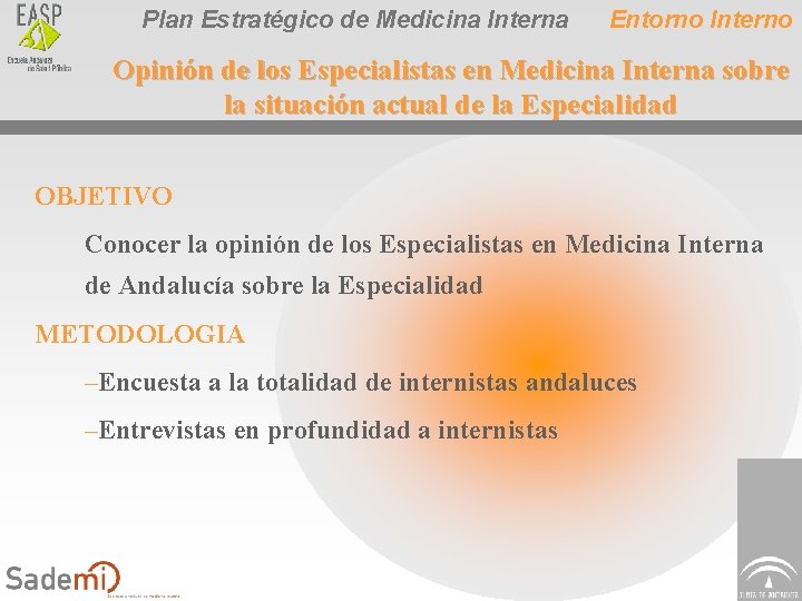 Plan Estratégico de Medicina Interna Entorno Interno Opinión de los Especialistas en Medicina Interna