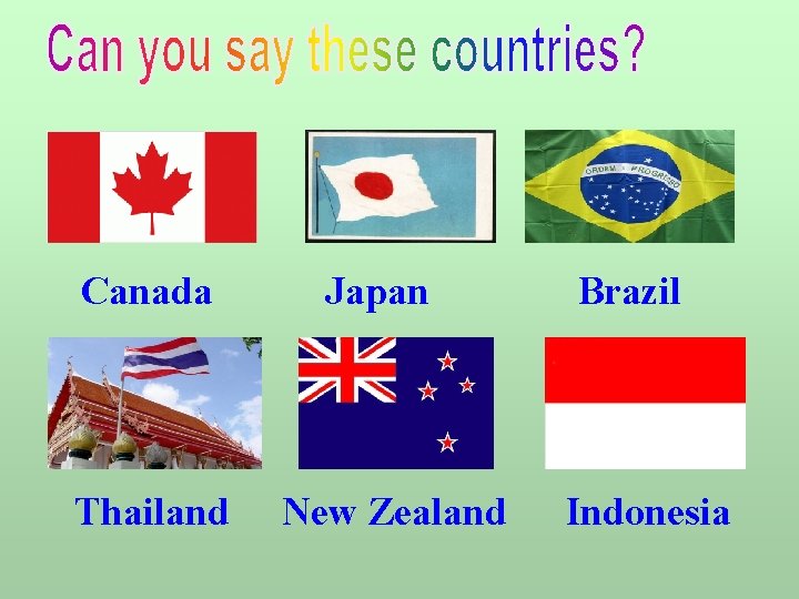 Canada Thailand Japan New Zealand Brazil Indonesia Canada Thailand Japan New Zealand Brazil Indonesia