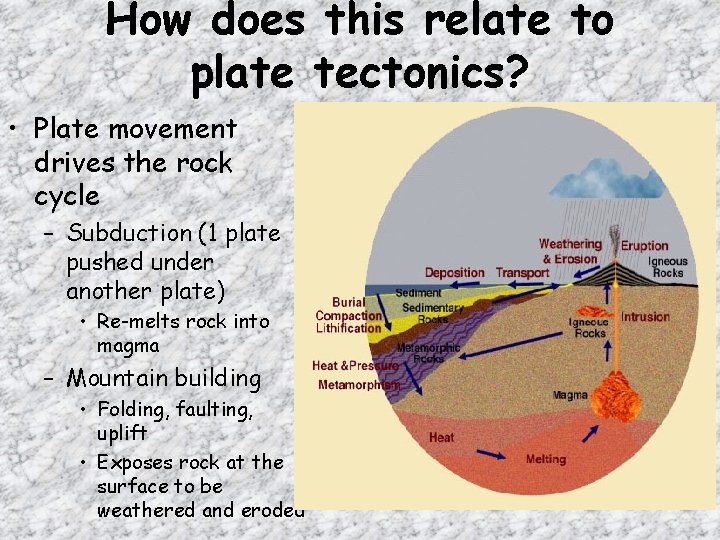 How does this relate to plate tectonics? • Plate movement drives the rock cycle How does this relate to plate tectonics? • Plate movement drives the rock cycle