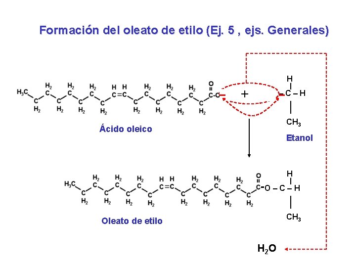 Formación del oleato de etilo (Ej. 5 , ejs. Generales) H + HO – Formación del oleato de etilo (Ej. 5 , ejs. Generales) H + HO –