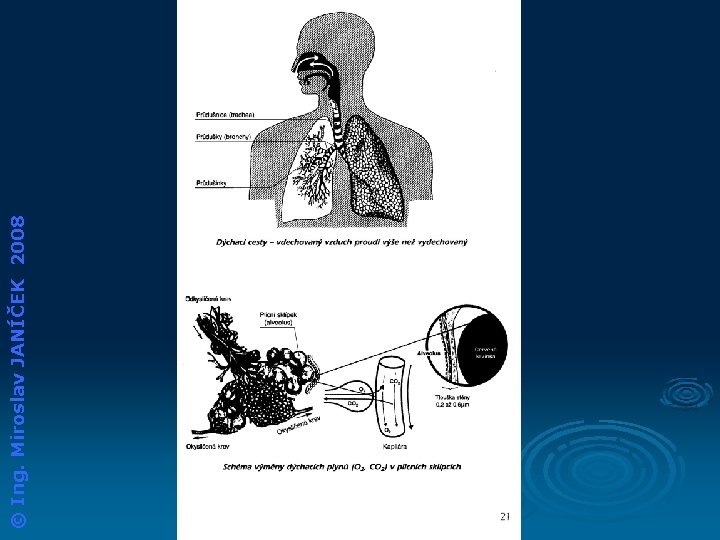 © Ing. Miroslav JANÍČEK 2008 