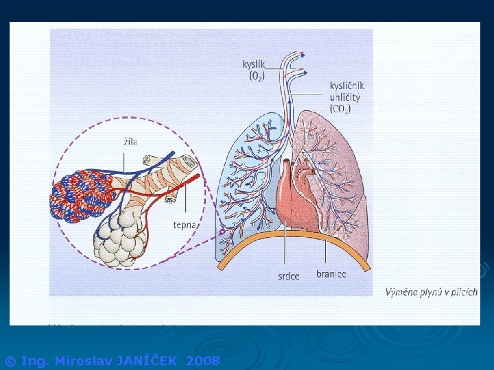 © Ing. Miroslav JANÍČEK 2008 