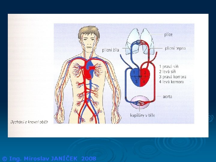 © Ing. Miroslav JANÍČEK 2008 