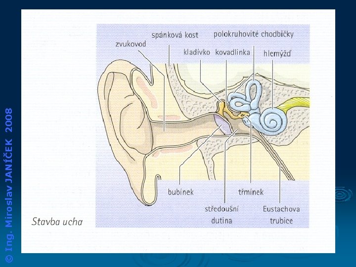 © Ing. Miroslav JANÍČEK 2008 