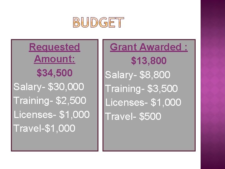 Requested Amount: $34, 500 Salary- $30, 000 Training- $2, 500 Licenses- $1, 000 Travel-$1,