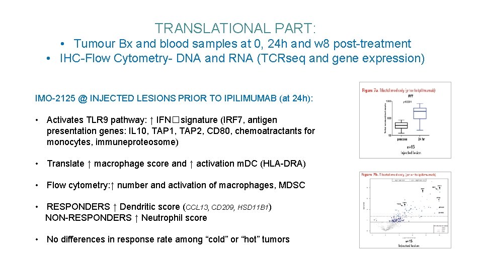 TRANSLATIONAL PART: • Tumour Bx and blood samples at 0, 24 h and w