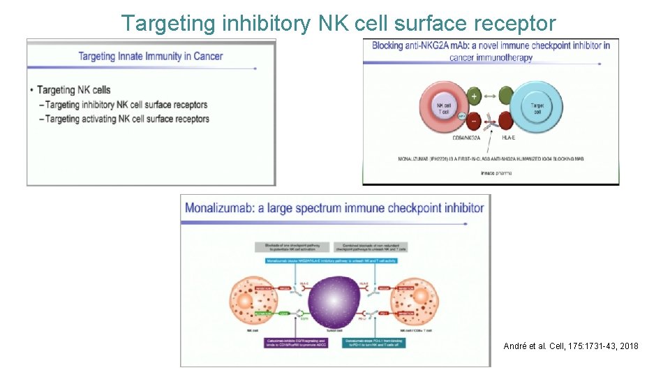 Targeting inhibitory NK cell surface receptor André et al. Cell, 175: 1731 -43, 2018