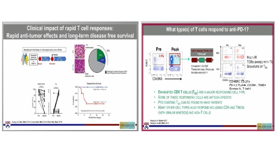 CD 45 Rl, CD 27 h PD+, CTLA 4+, CD 39+, TIM 3+ Eomes-h,